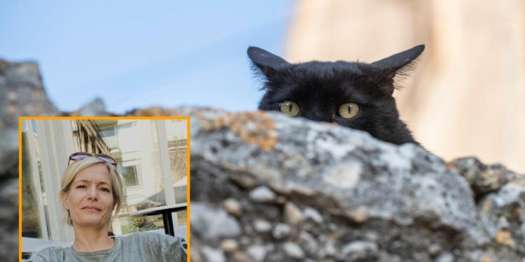 Dubrovačka veterinarka: ‘Ovaj slučaj nije od jučer. Čovjek godinama gomila otpad i uporno skuplja mačke…’