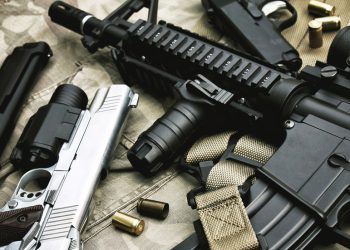 Dva milijuna ilegalnog vatrenog oružja koji kruže u Južnoj Africi – opozicija – RT Afrika