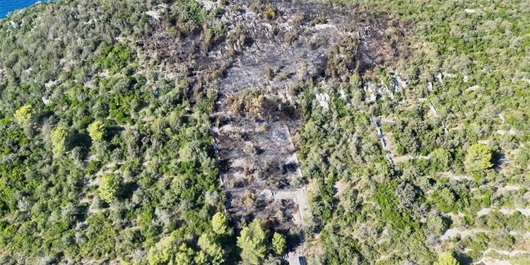 Dva požara uzrokovana ljudskim faktorom