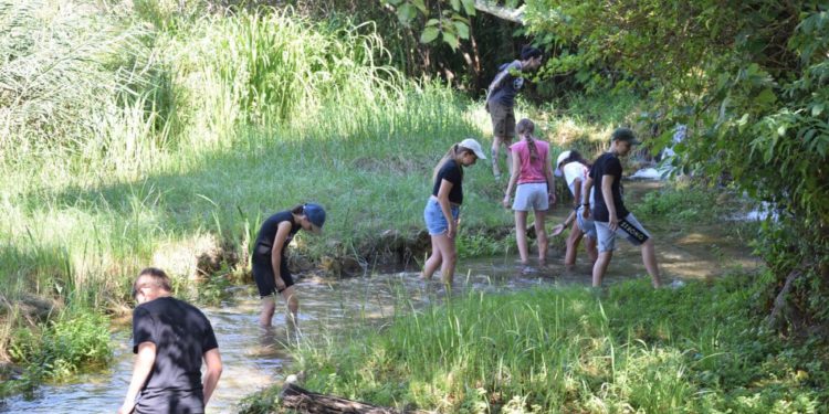 Edukativna radionica Što to gmiže oko Krke