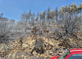 FOTO I VIDEO Požar iznad Jesenica i Sumpetra pod kontrolom, vatrogasci ostaju na terenu!