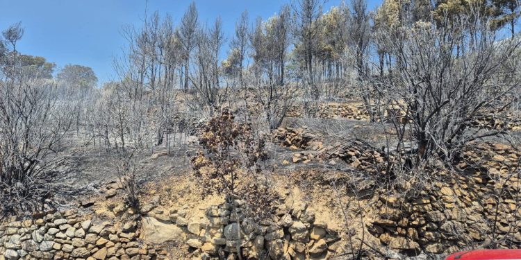 FOTO I VIDEO Požar iznad Jesenica i Sumpetra pod kontrolom, vatrogasci ostaju na terenu!