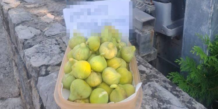 FOTO Lijepa gesta s otoka Krka koja je raznježila internet