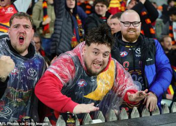 Footy obožavatelji otkrivaju što ih odvodi od AFL -a – od groga i nasilja do sporta koji postaju “previše američki”