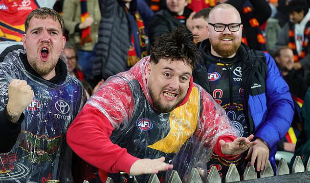 Footy obožavatelji otkrivaju što ih odvodi od AFL -a – od groga i nasilja do sporta koji postaju “previše američki”