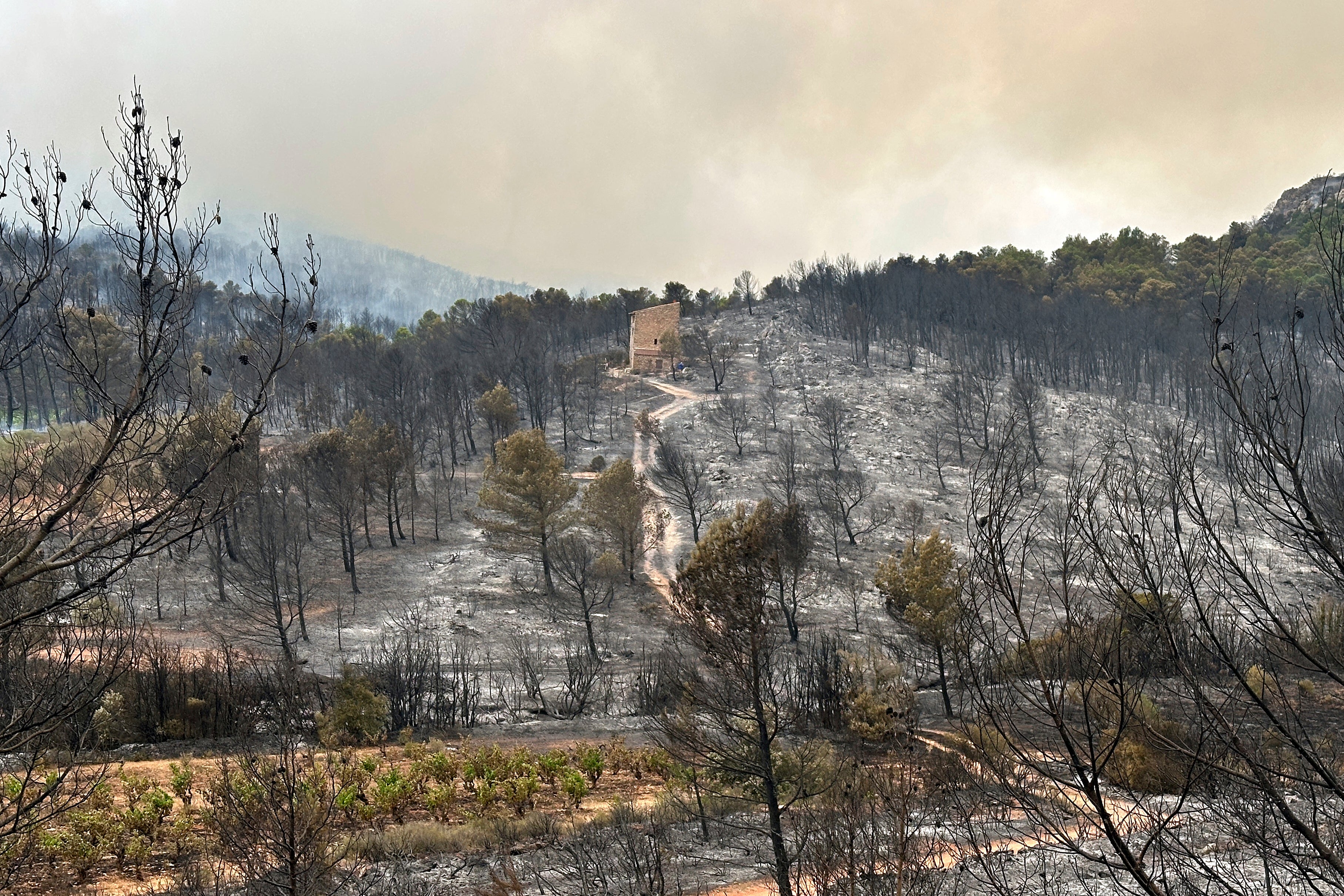 Kuća stoji usred spaljenih stabala tijekom najvećeg požara u Francuskoj ovog ljeta, u blizini Durban-Corbieres, Južna Francuska, srijeda, kolovoz.6, 2025. (AP Photo/Hernan Munoz)