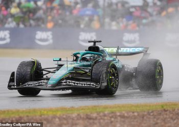 Furious Formula 1 zabrani je televizijski voditelj nakon što je Ralf Schumacher ciljao ukazao na Jibea prema vozaču nakon ispada s X-a na britanskoj Grand Prixu