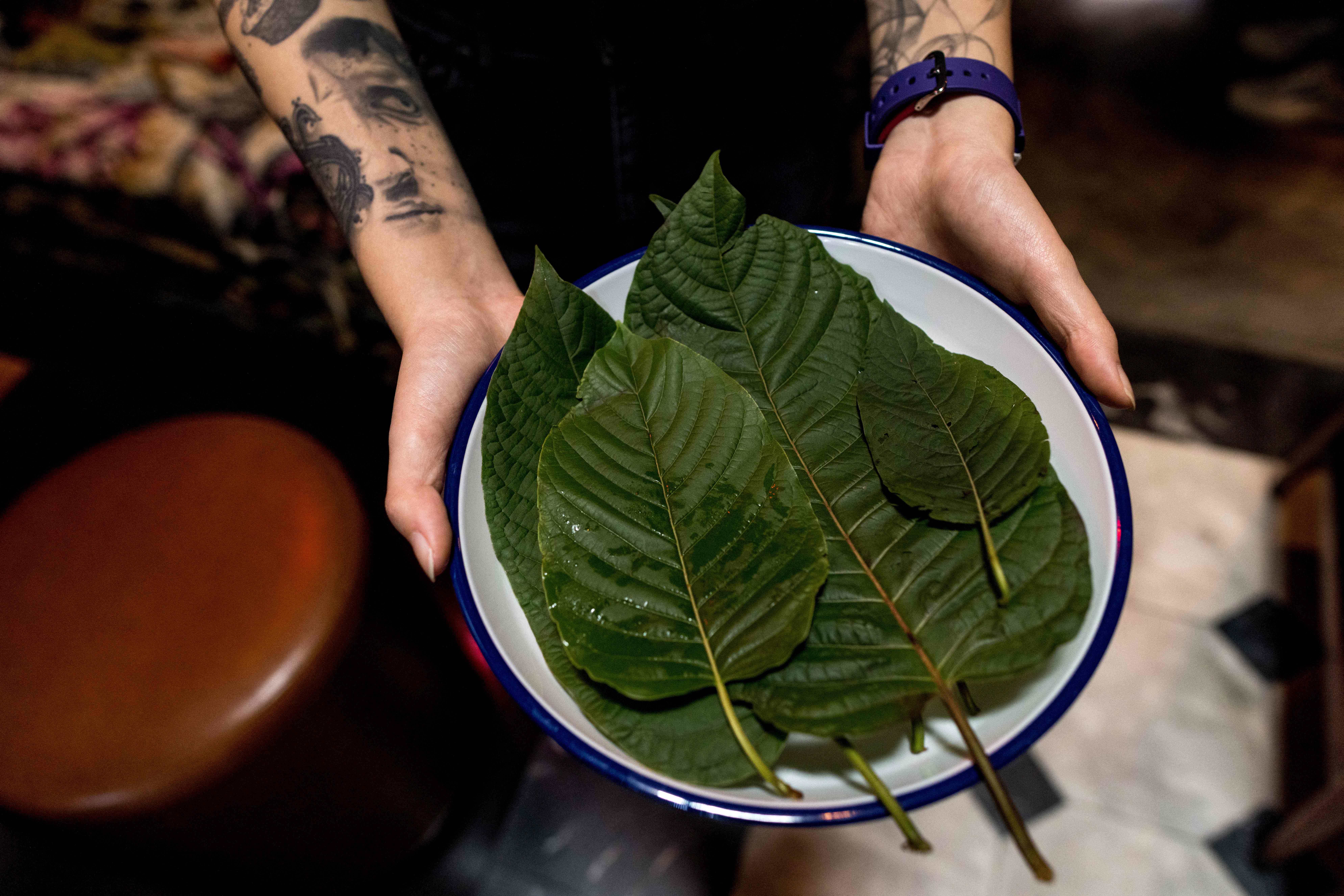 Zdjela kratoma lišća. Korisnici društvenih medija upozorili su na ovisničke učinke nekih proizvoda koji sadrže Kratom