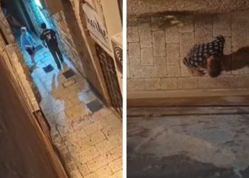 Grozan prizor u centru Splita