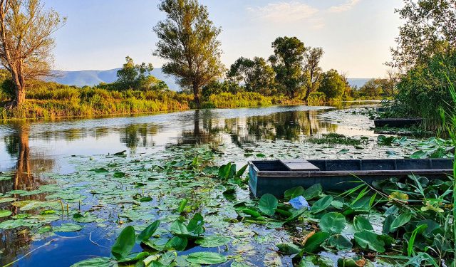 Hutovo blato pod međunarodnom zaštitom? Ministarstvo potpisalo apel protiv ekološke prijetnje