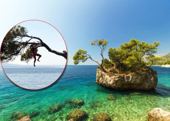 Influenceri se penju na zaštićenu stijenu i ugrožavaju vegetaciju