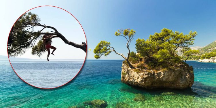 Influenceri se penju na zaštićenu stijenu i ugrožavaju vegetaciju