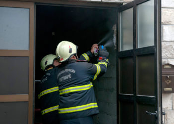 Invazija stršljena u hrvatskom gradu: ‘Gnijezda su veličine kao 3-4 nogometne lopte’