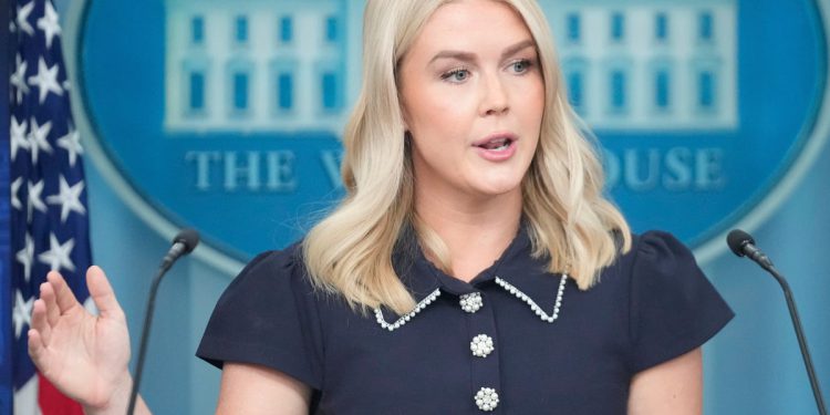 Karoline Leavitt kaže da je šef policije sada odgovara na Trumpa koji je glavni zapovjednik DC Force