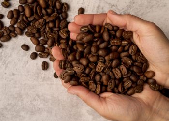 Kina postaje oaza za brazilsku kavu: 183 kompanije dobile izvoznu dozvolu