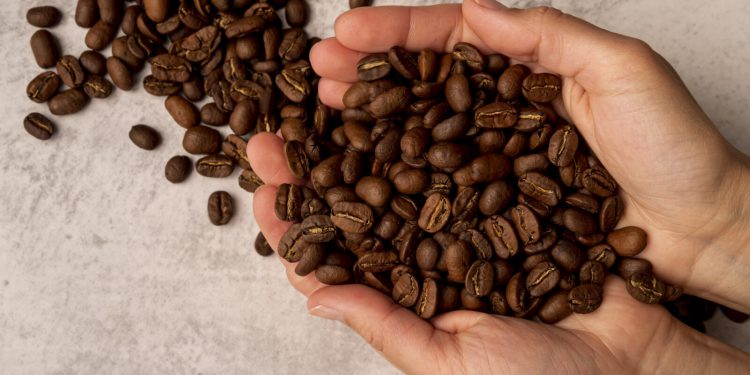 Kina postaje oaza za brazilsku kavu: 183 kompanije dobile izvoznu dozvolu