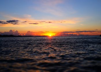 Morski svijet u našim rukama u Matuljima