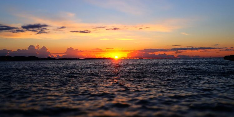 Morski svijet u našim rukama u Matuljima