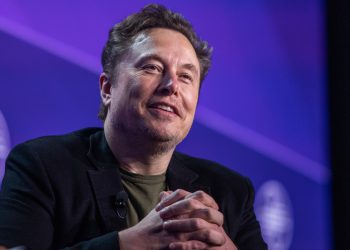 Musk tvrdi ‘glavne’ američke demokrati u Epstein Docs – RT World News