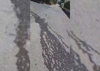 NESNOSNI SMRAD Na putu do plaže na Čiovu turisti i domaći gaze kroz fekalije