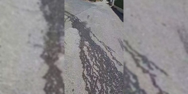 NESNOSNI SMRAD Na putu do plaže na Čiovu turisti i domaći gaze kroz fekalije