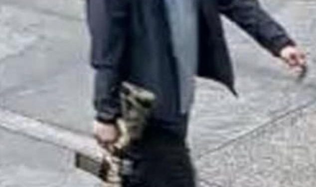 NFL timovi rekli su da koristi oružanu sigurnost u timskim objektima nakon smrtonosnog pucanja u ligaškom sjedištu u New Yorku