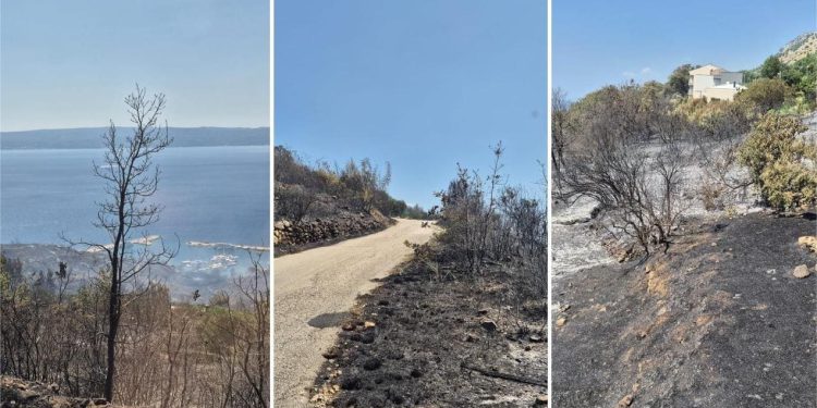 Nadljudski napori vatrogasaca kod Splita: Pogledajte zastrašujuće zgarište nakon požara