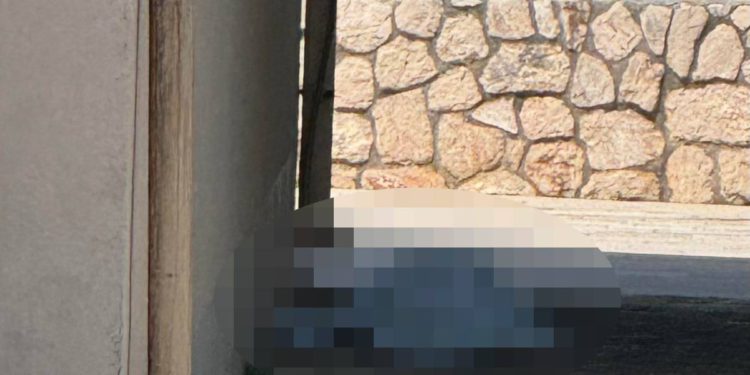 Nakon neuspješne reanimacije na Pašmanu, stariju Njemicu ostavili na cesti