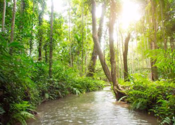 Nedostajala Teksaška žena pronašla je život među izgubljenim ‘afričkim’ plemenom u Škotskoj