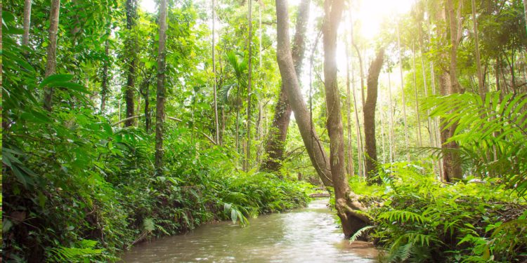 Nedostajala Teksaška žena pronašla je život među izgubljenim ‘afričkim’ plemenom u Škotskoj
