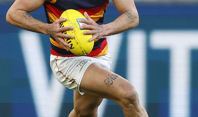 Otkriveno: Brutalna zvijezda Sledge AFL-a prepuna je prije nego što je izgovorio anti-gay glur koji izgleda da će završiti svoju sezonu