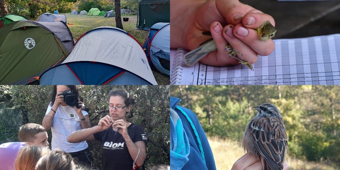 Otvoreni dani Ornitološkog kampa Učka 2025.
