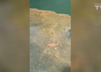 Ovo je bila izvanredna situacija i snimka stara 20 dana!