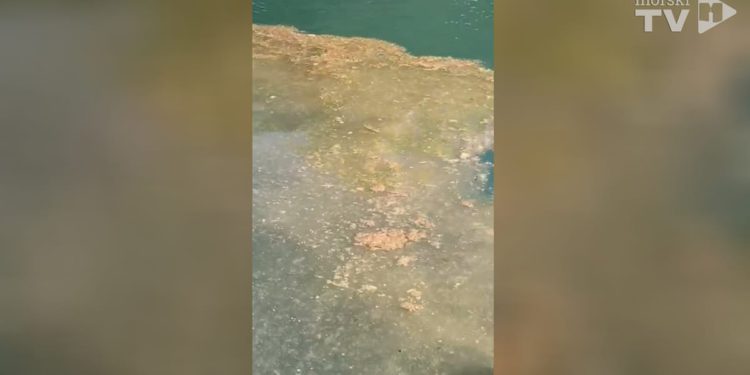 Ovo je bila izvanredna situacija i snimka stara 20 dana!