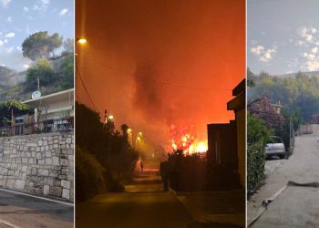 Marijana Puljak: "Vatra je došla svega 15-ak metara od naše obiteljske kuće!"