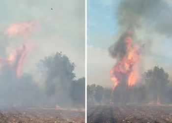 Požar kod Slipčića gasilo 40 vatrogasaca s 11 vozila