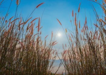 Prošli mjesec bio je treći najtopliji srpanj na Zemlji od početka mjerenja