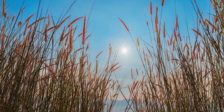 Prošli mjesec bio je treći najtopliji srpanj na Zemlji od početka mjerenja