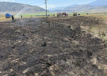 Riba pala s neba pa izazvala požar!