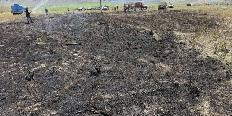 Riba pala s neba pa izazvala požar!