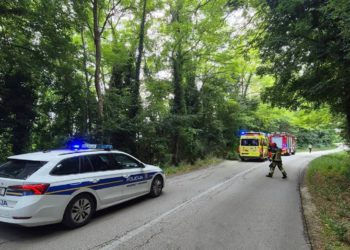 STRAŠNA TRAGEDIJA U ISTRI Stablo palo na dijete i usmrtilo ga!