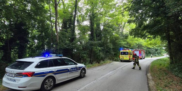 STRAŠNA TRAGEDIJA U ISTRI Stablo palo na dijete i usmrtilo ga!