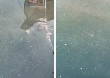 Saga zbog fekalija u Trogiru. Opet se javio Franko Marević (HDS): “Gradonačelnik općenito ne želi konzultirati sa stručnijim od sebe?”