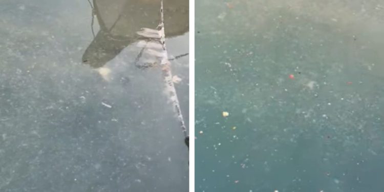 Saga zbog fekalija u Trogiru. Opet se javio Franko Marević (HDS): “Gradonačelnik općenito ne želi konzultirati sa stručnijim od sebe?”