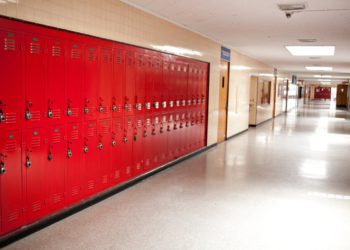 Samo trećina država SAD -a zahtijeva da se seksualno obrazovanje u školama bude medicinski precizno