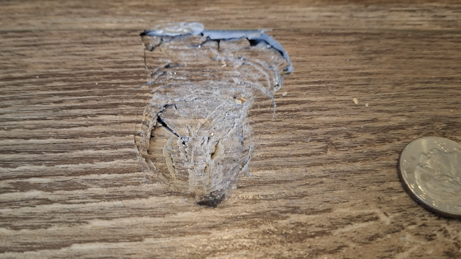 Fragmenti meteorita udarili su se u krov vlasnika kuće u McDonoughu, okrug Henry, južno od Atlante, ostavljajući za sobom, ostavljajući rupu veličine lopte za golf u stropu i udubljenja u njegovom podu.
