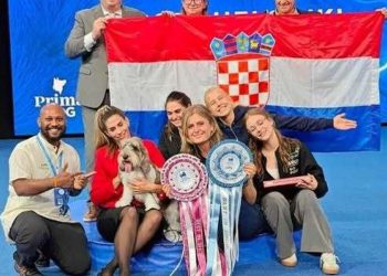 Šibenski – Najljepši pas na svijetu dolazi