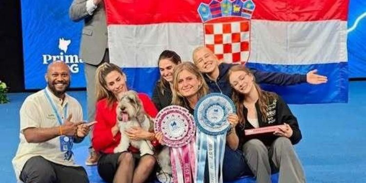 Šibenski – Najljepši pas na svijetu dolazi