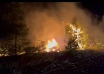 Sletio s ceste na Pagu, automobil se zapalio, plamen zahvatio šumu…