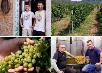 Slobodna Dalmacija – Antonio, Frane i Jure nisu poput svojih vršnjaka, oni slijede stope svojih očeva i mukotrpno rade: ‘To je ljubav u čaši’